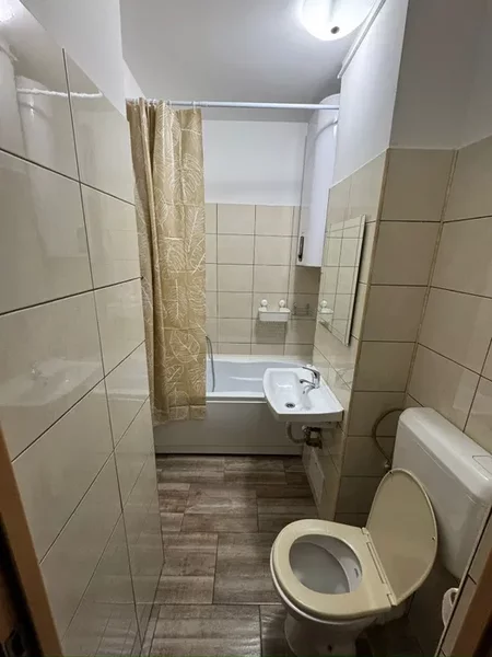 Lacul Tei, Parcul Circului, Lidl, Mega Image, semistr bl mixt renov 2024